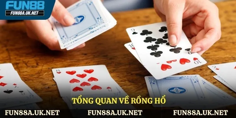 Tổng quan về rồng hổ